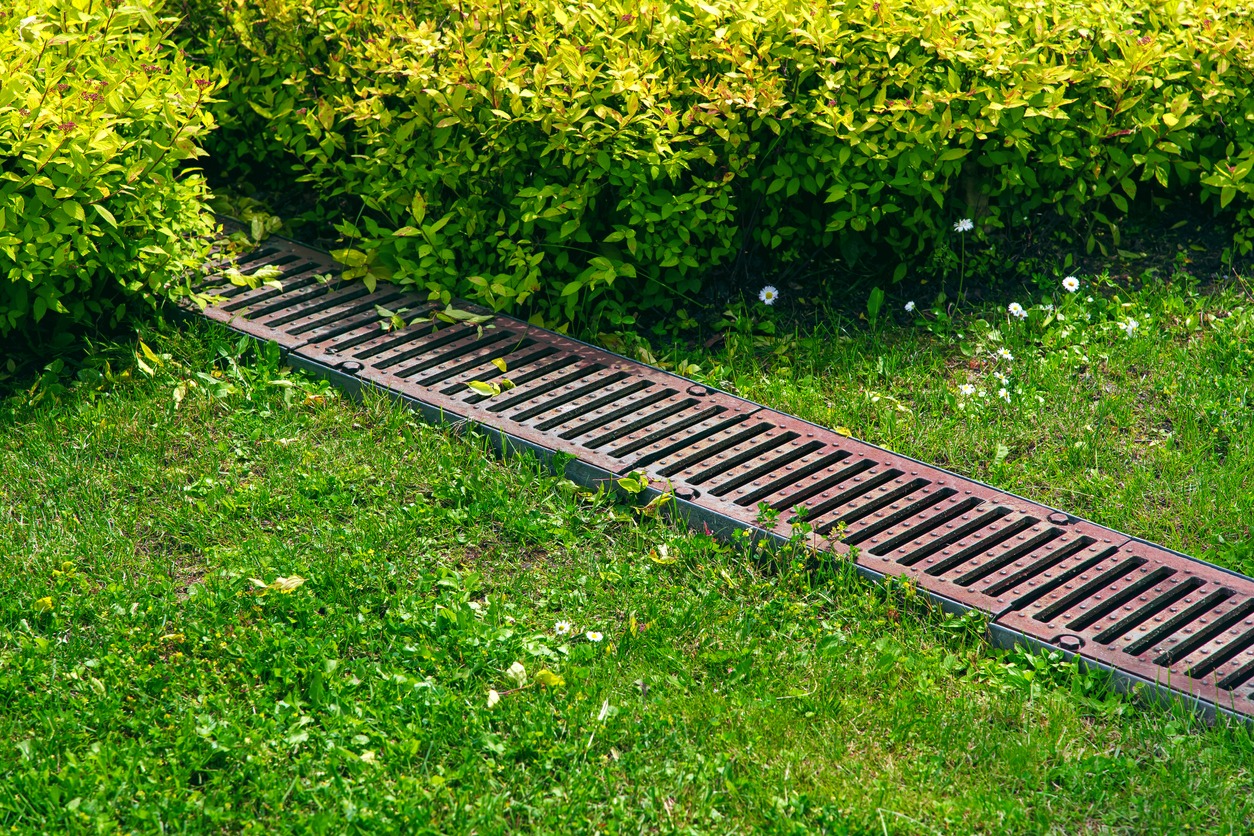 Metal drainage grate in grassy garden area