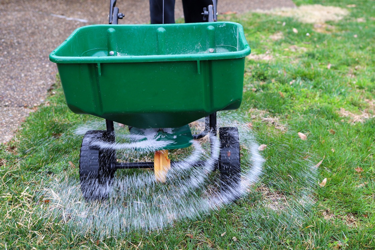 Lawn spreader distributing fertilizer on grass