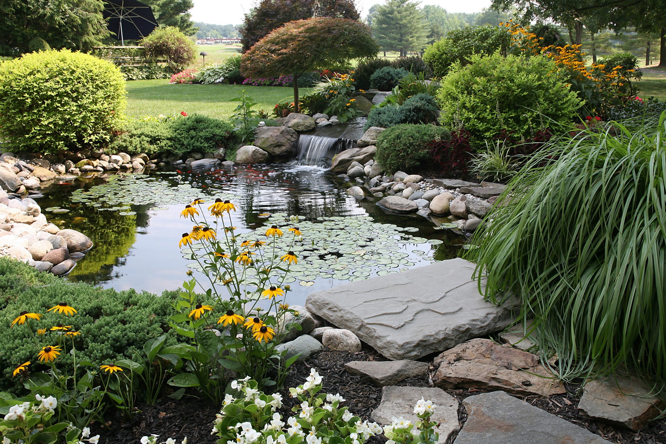 Landscaped garden pond with waterfall and flowers