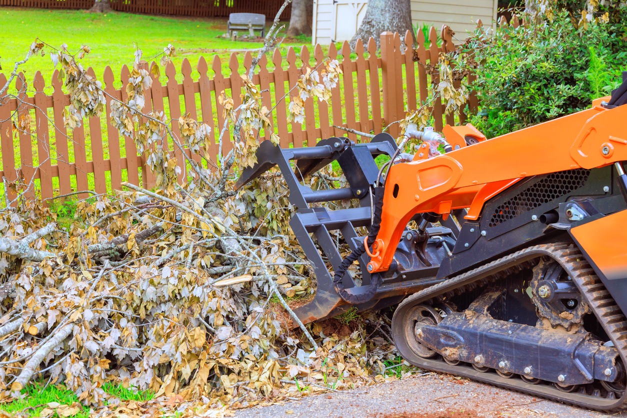 Skid-steer loader moving pile of tree branches