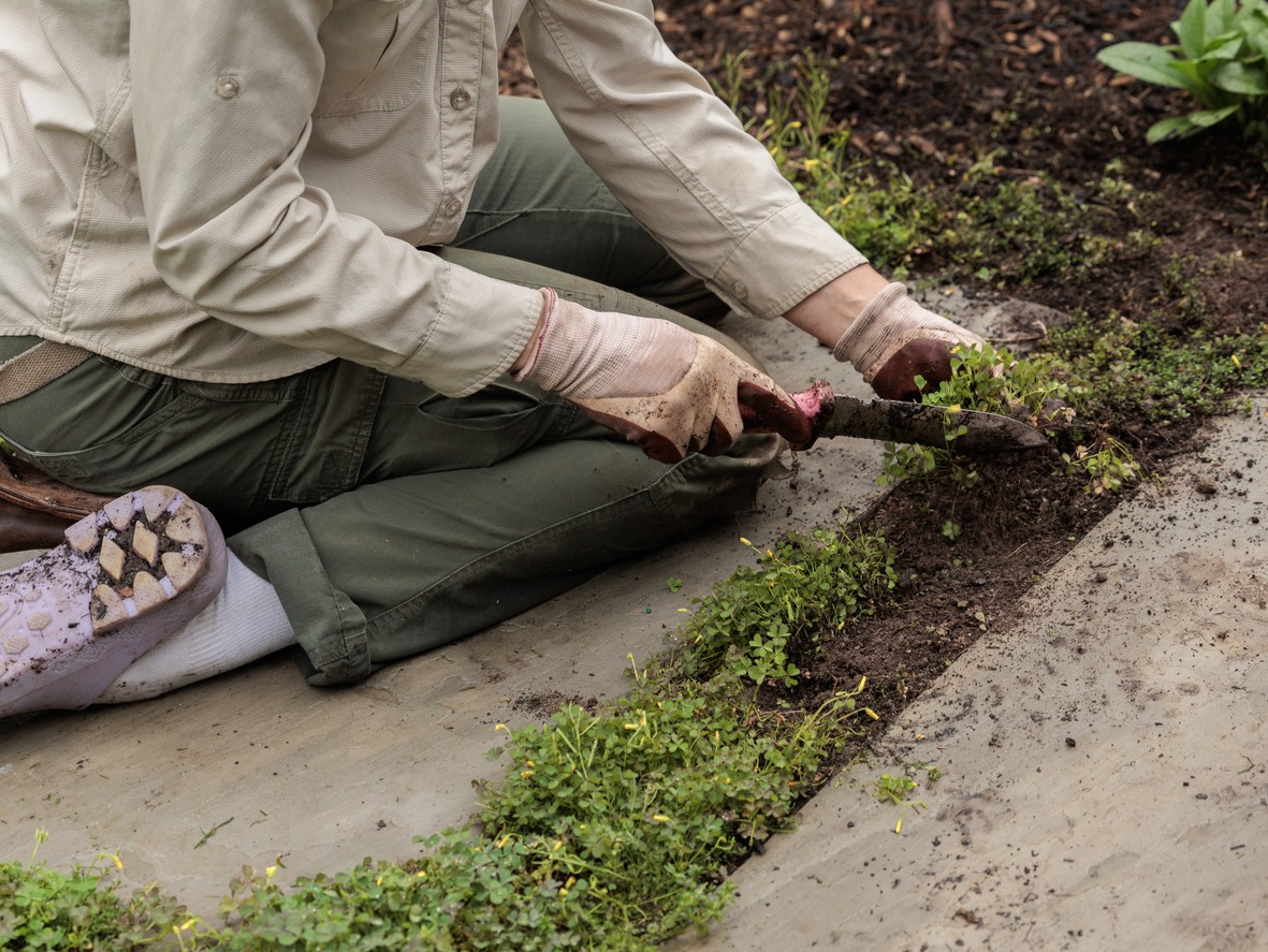 Person gardening with trowel in backyard garden bed