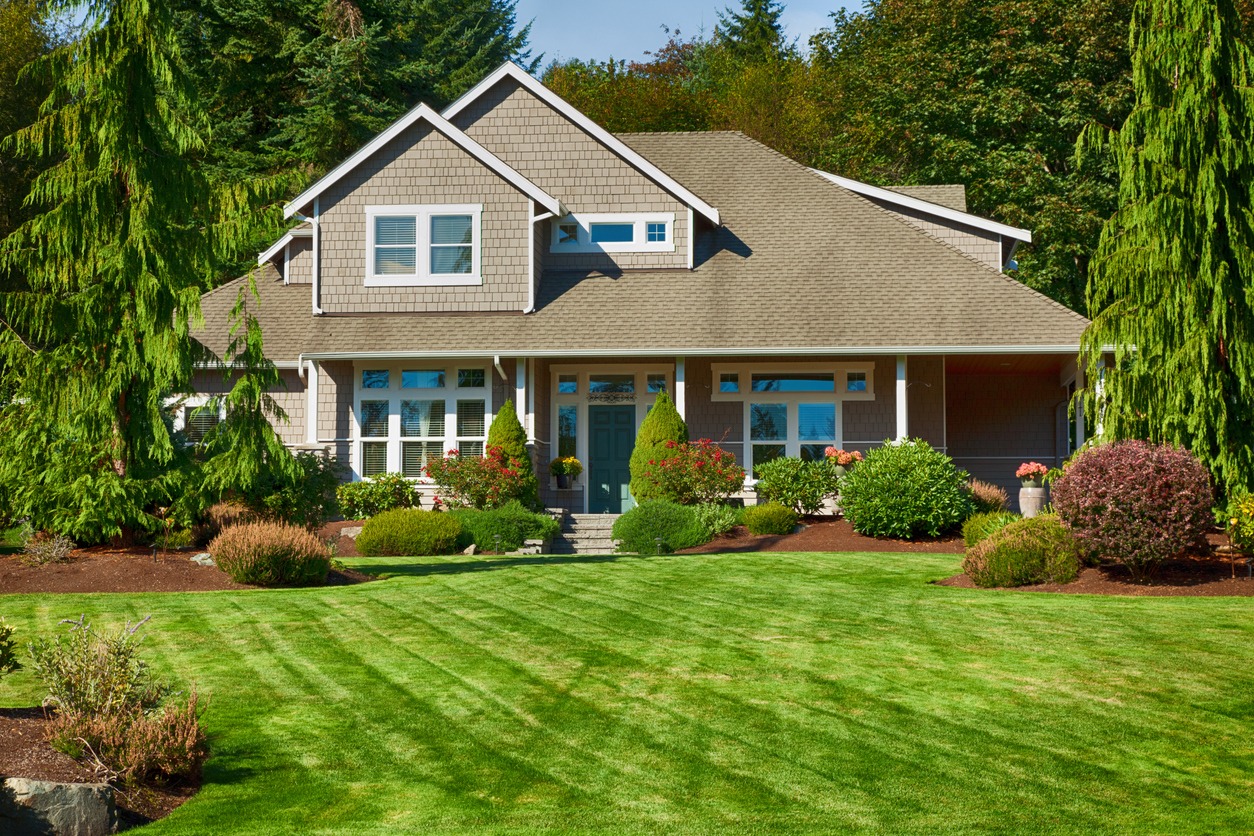 Craftsman-style house with landscaped lawn and trees