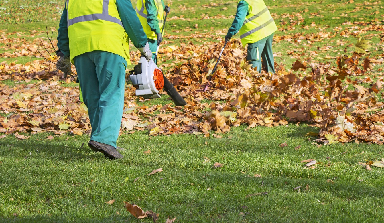 Groundskeepers clearing autumn leaves with leaf blower