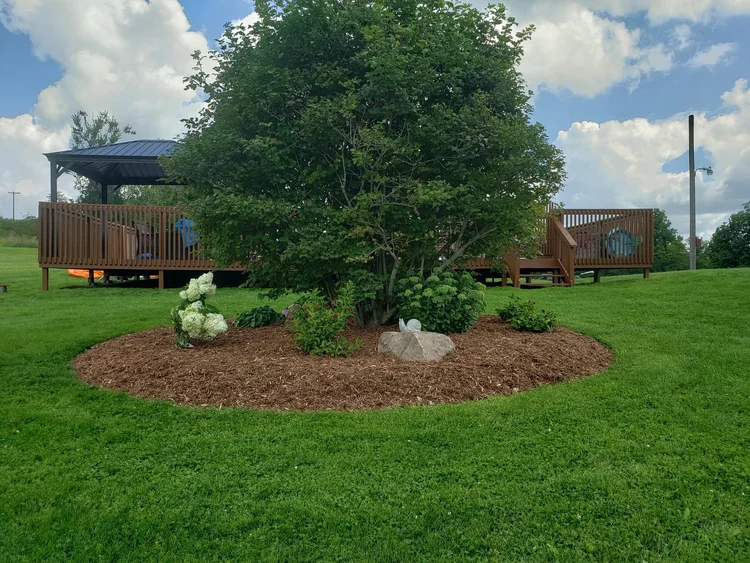 Circular mulch bed with tree and wooden deck