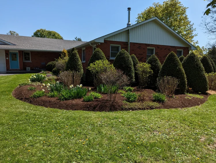 Brick ranch house with manicured front yard landscaping