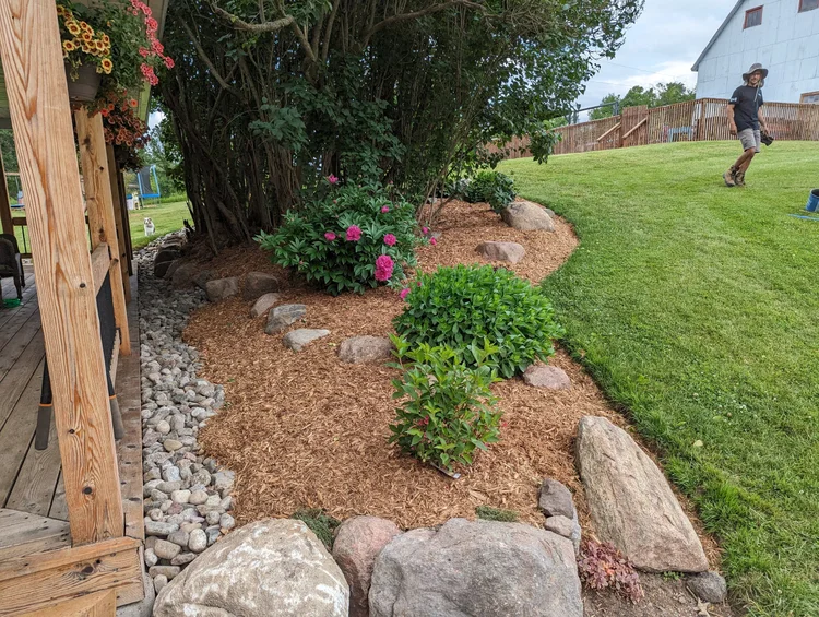 Landscaped garden bed with rocks and blooming shrubs