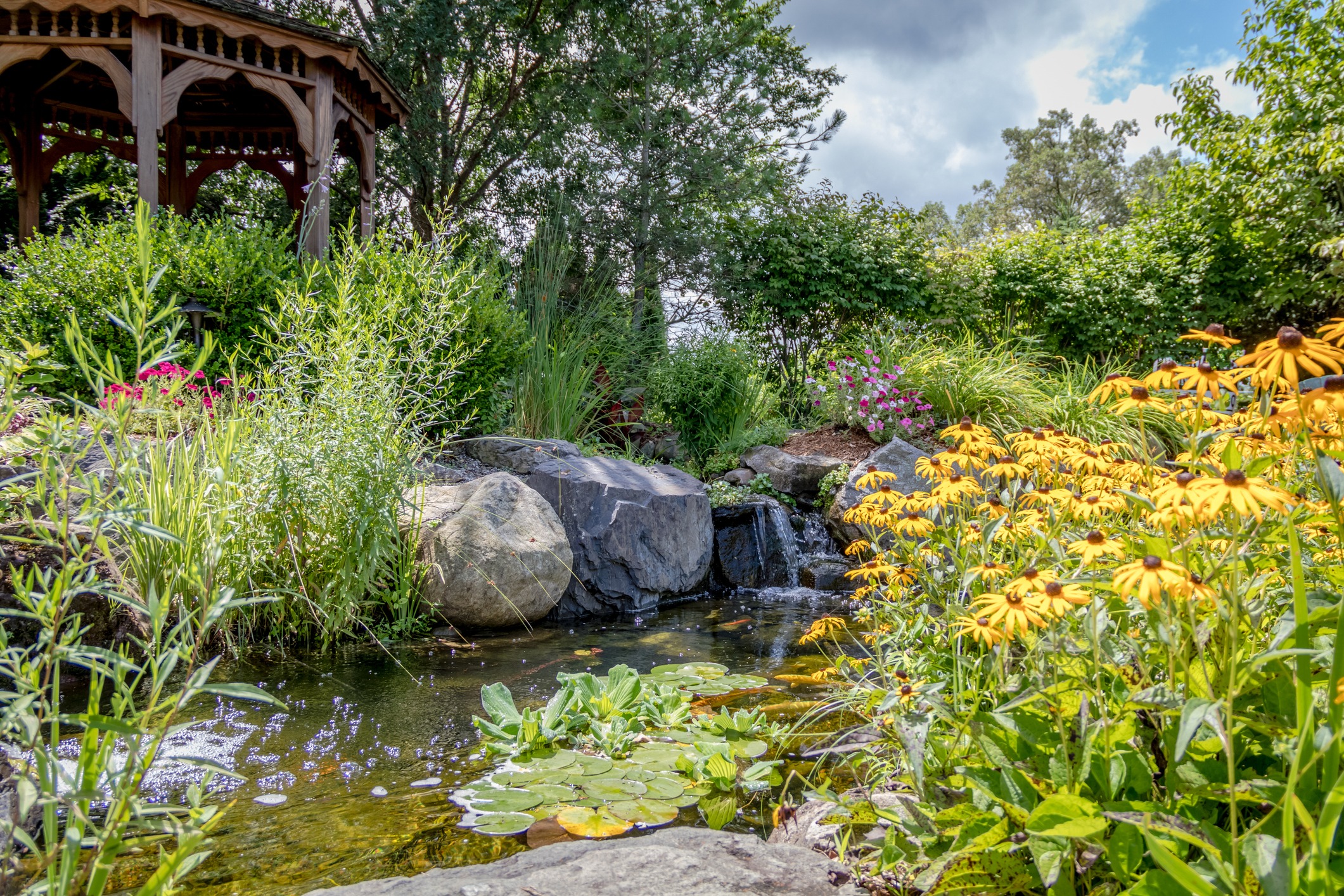 Lush garden pond with waterfall and gazebo