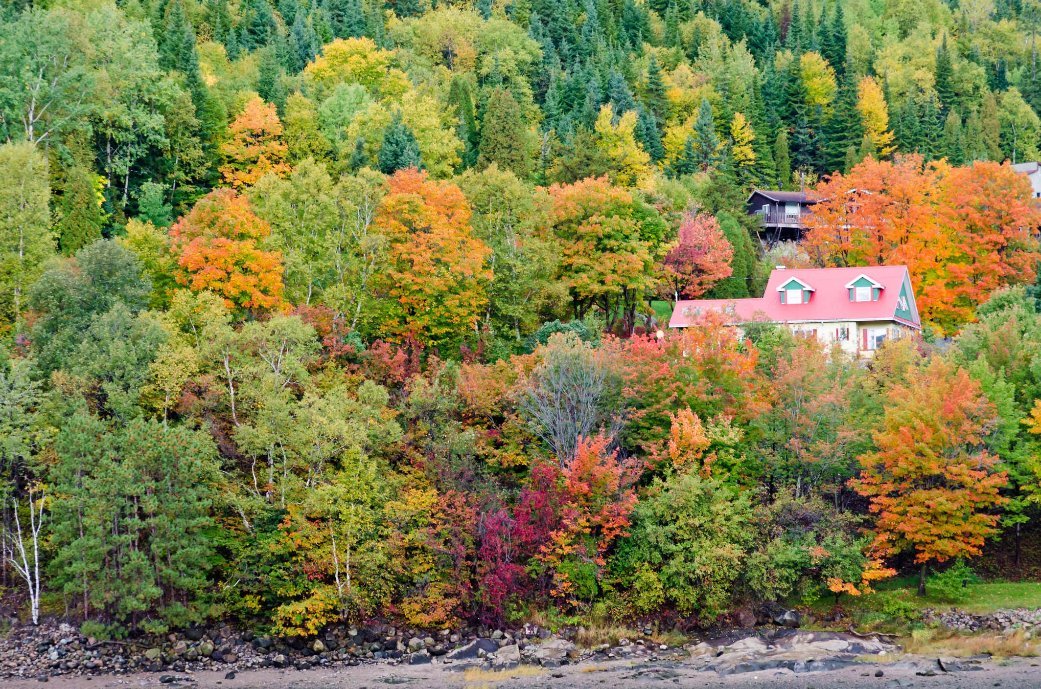 Red-roofed house surrounded by vibrant autumn forest