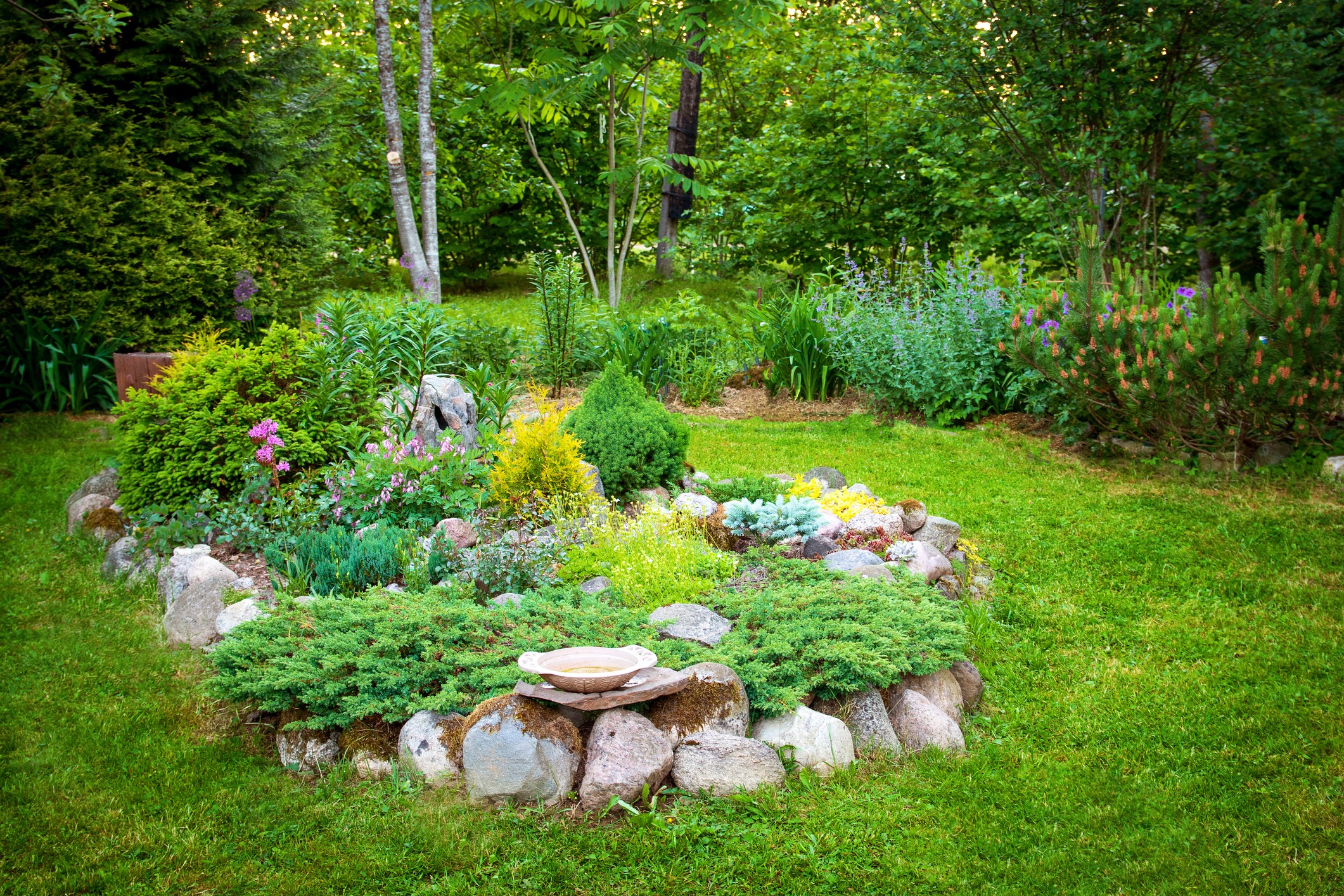 Landscaped garden bed with rocks, shrubs, and flowers