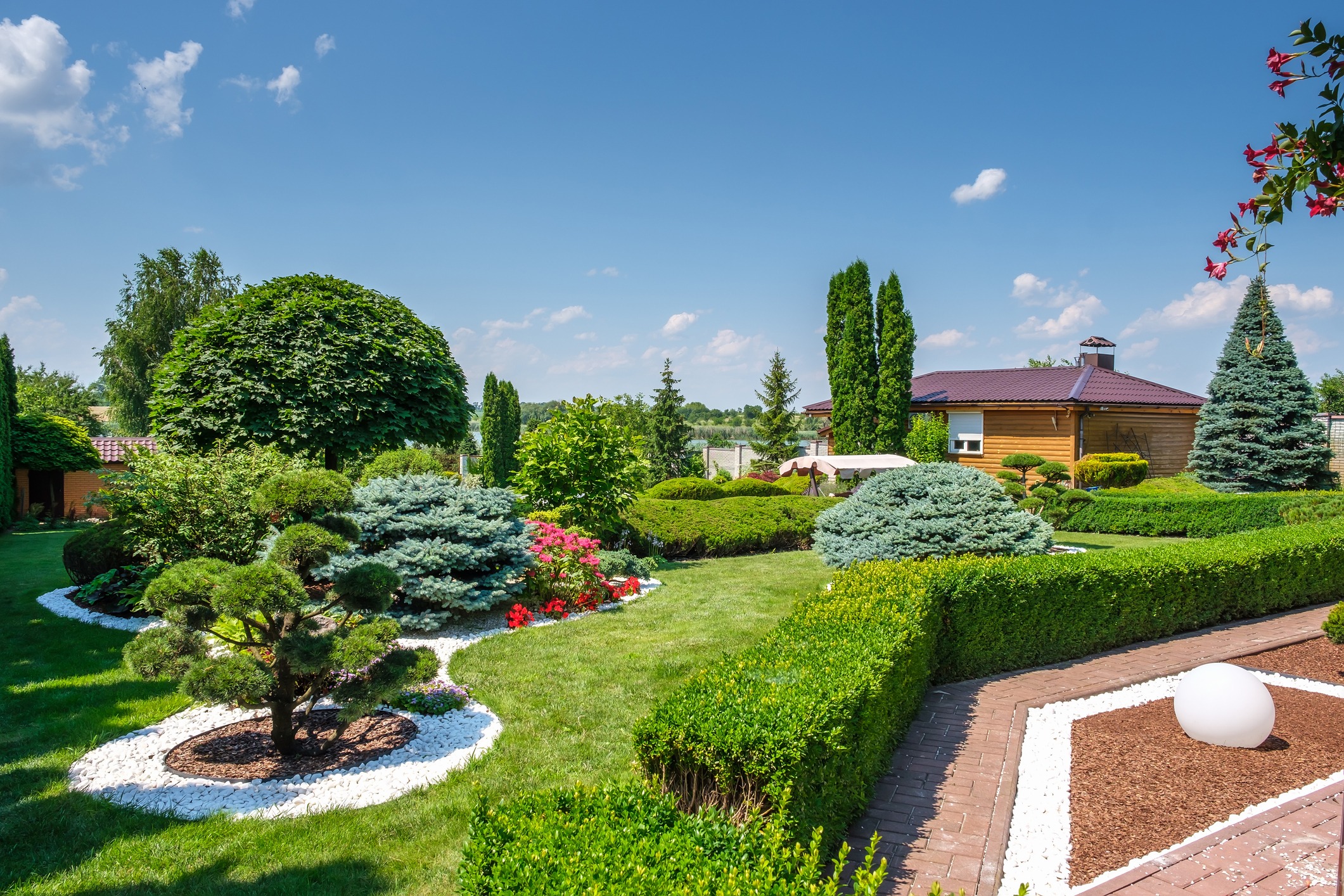 Manicured backyard garden with hedges and wooden house