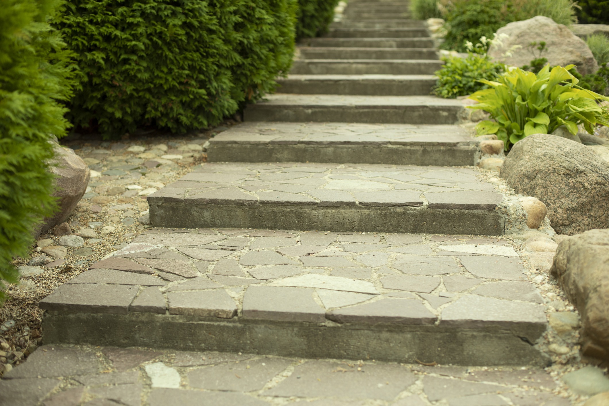 Stone garden steps surrounded by greenery