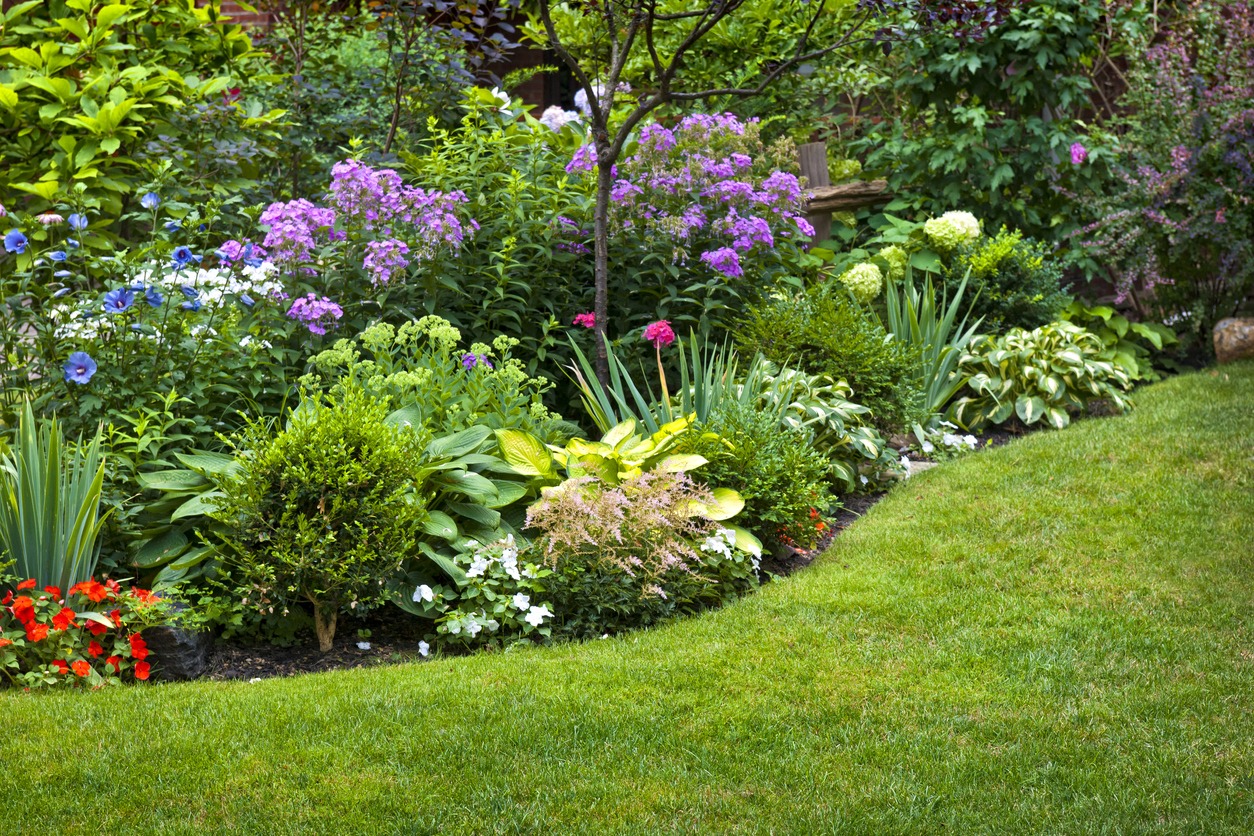 Colorful landscaped garden with flowers and manicured lawn