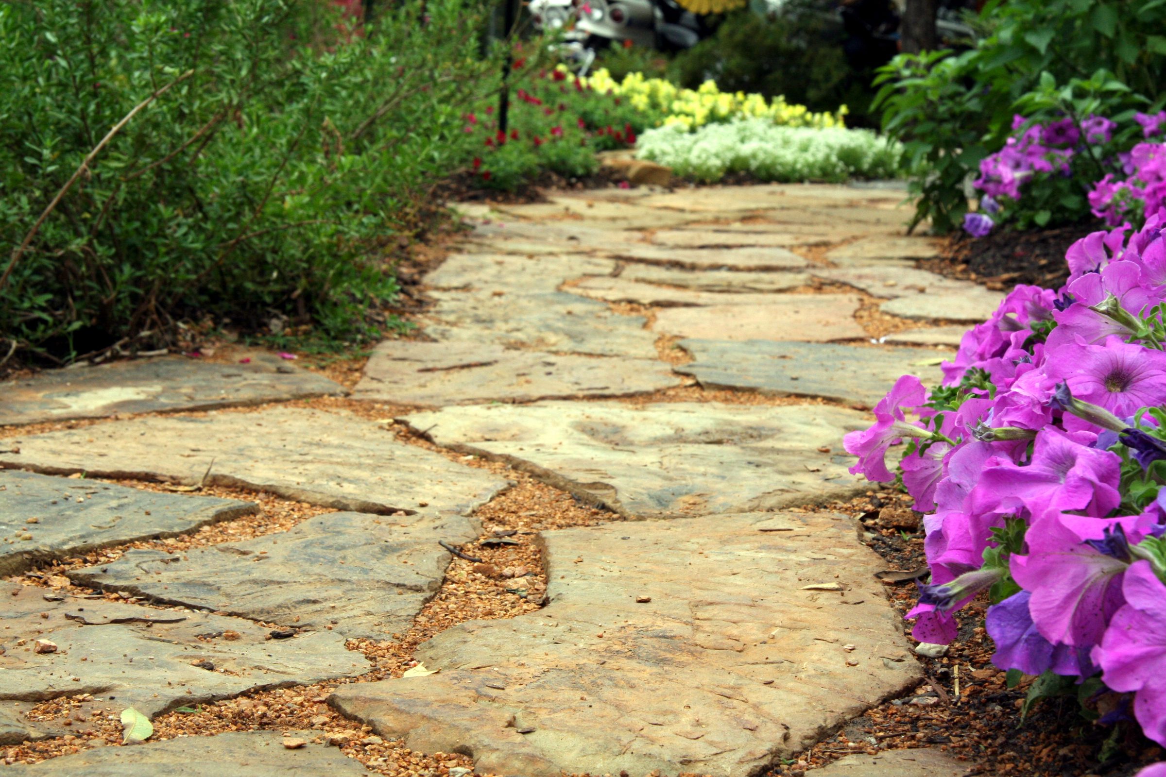 Stone garden pathway lined with colorful flowers