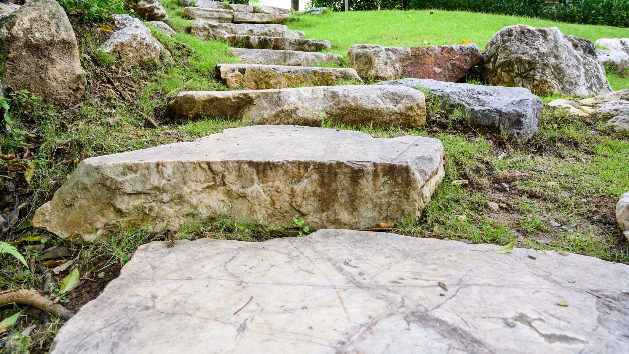 Stone steps ascending grassy hillside garden path