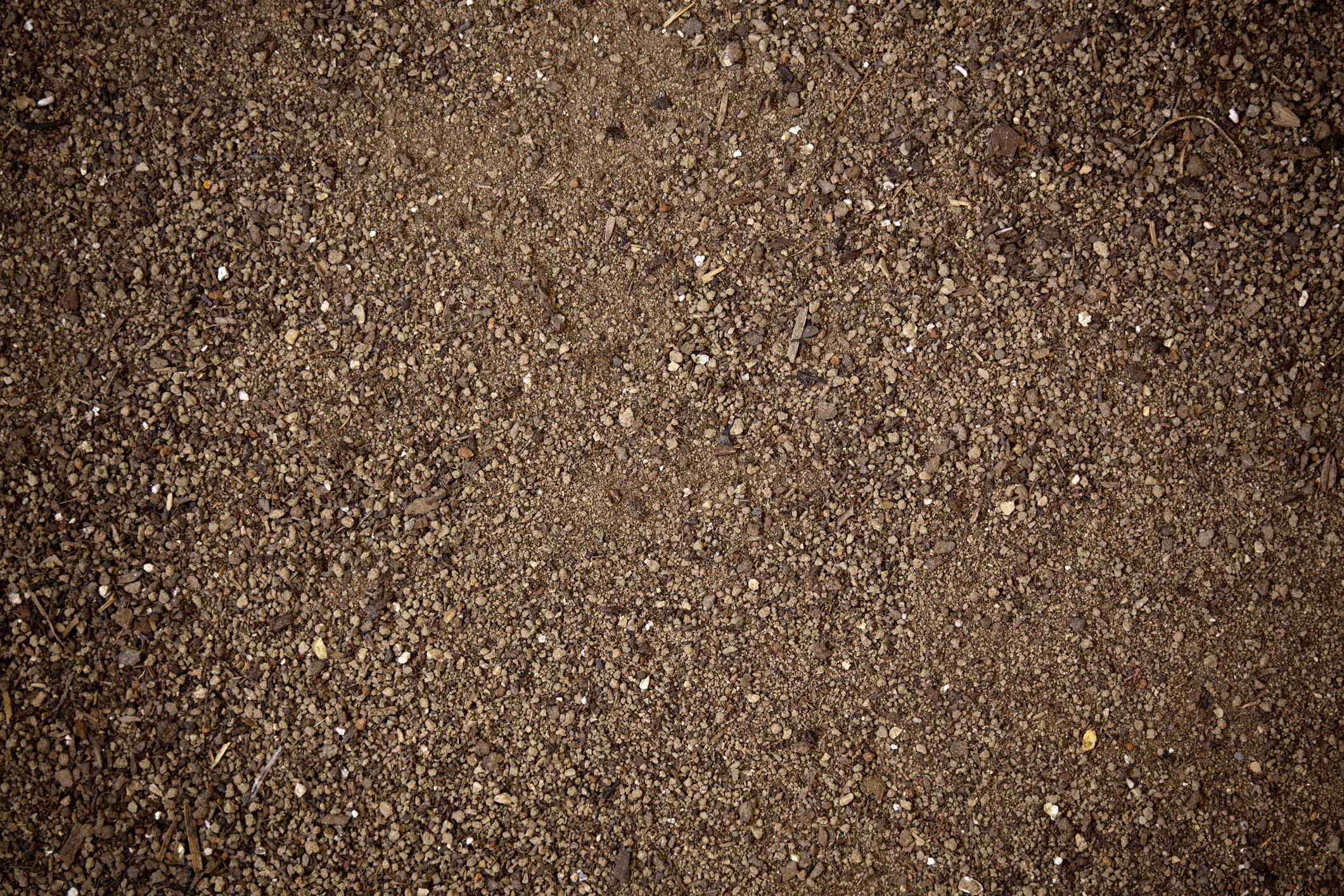 Close-up of brown soil and small pebbles