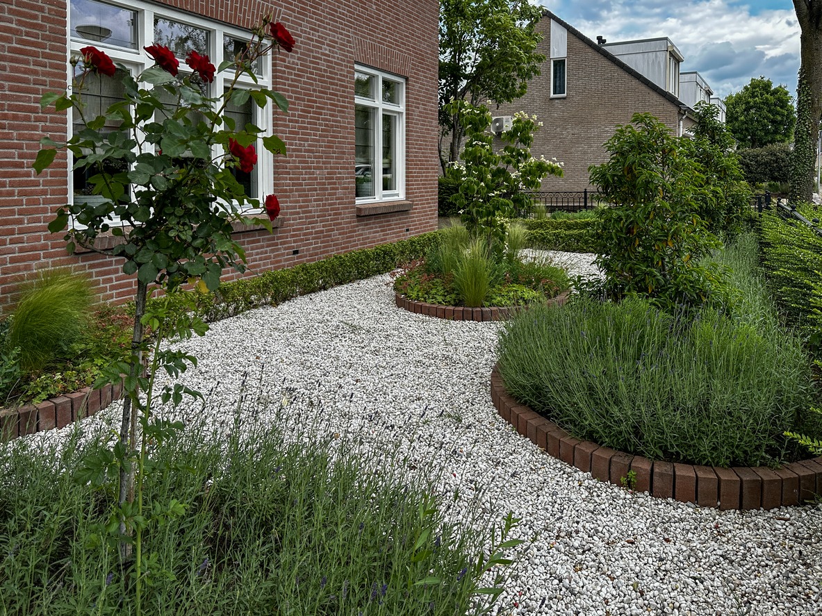Landscaped front yard with gravel and roses