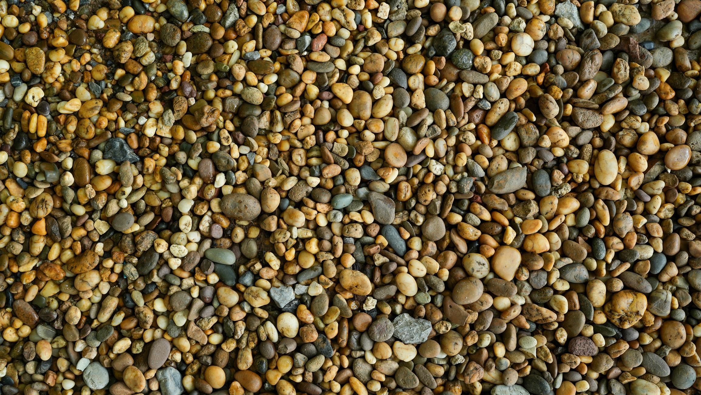 Close-up of multicolored pebbles covering ground