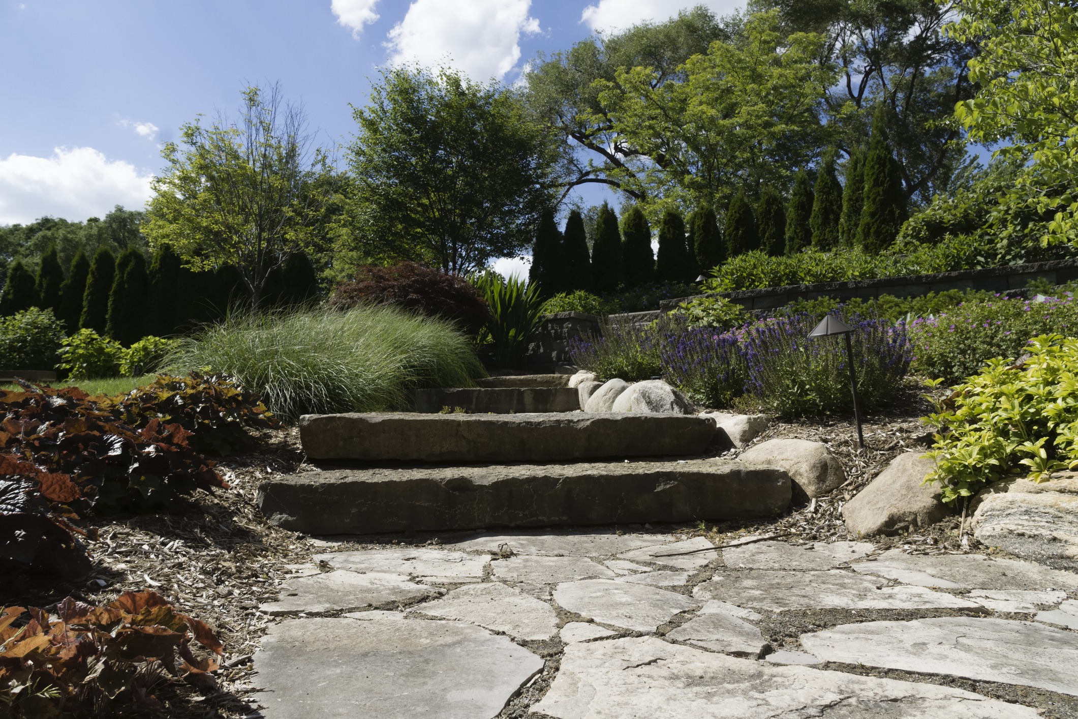 Stone steps leading through lush landscaped garden
