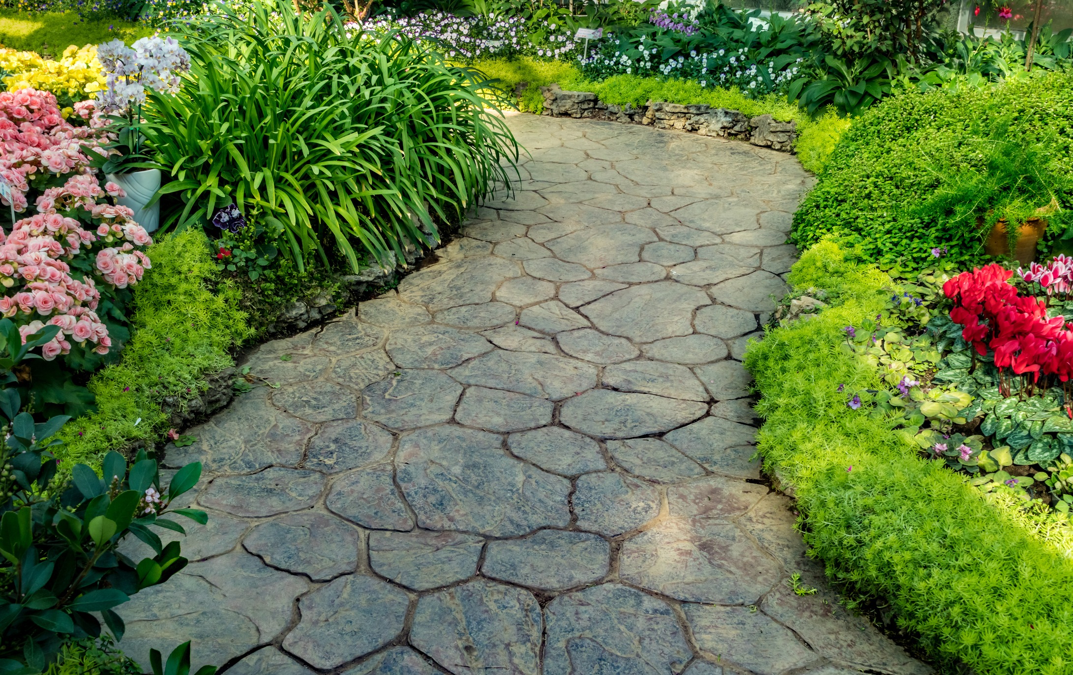 Stone garden pathway surrounded by colorful flowers