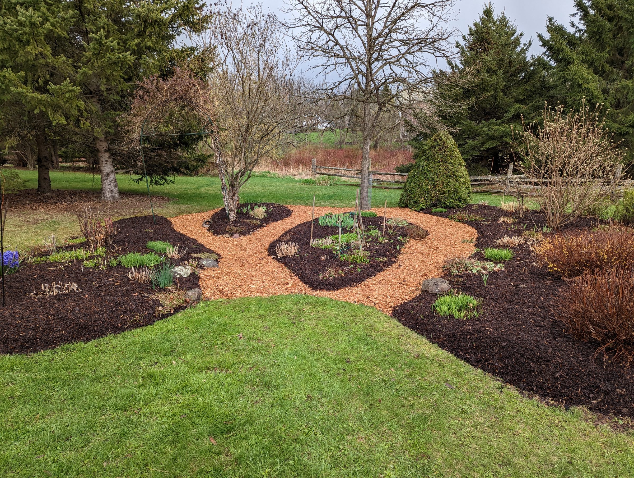 Curved woodchip path through landscaped garden beds