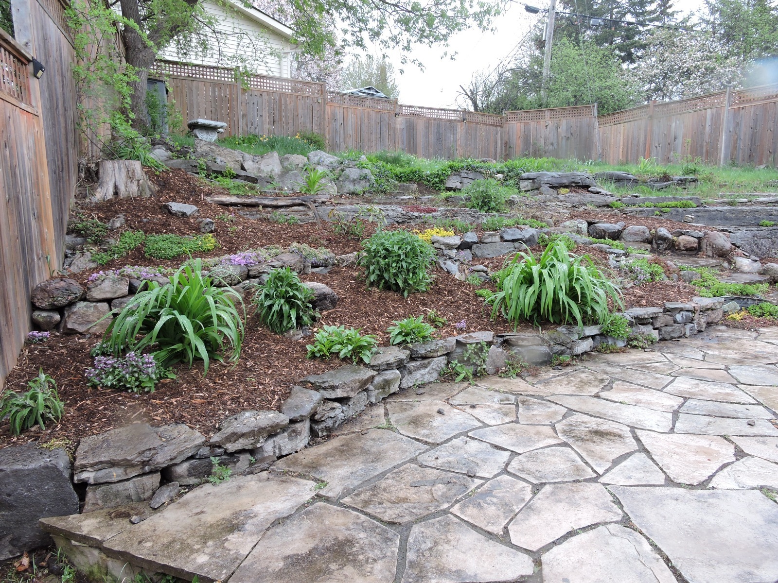 Terraced backyard garden with stone patio and plants